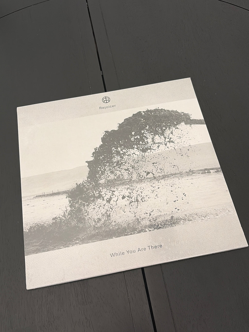 Rejoicer - While You Are There