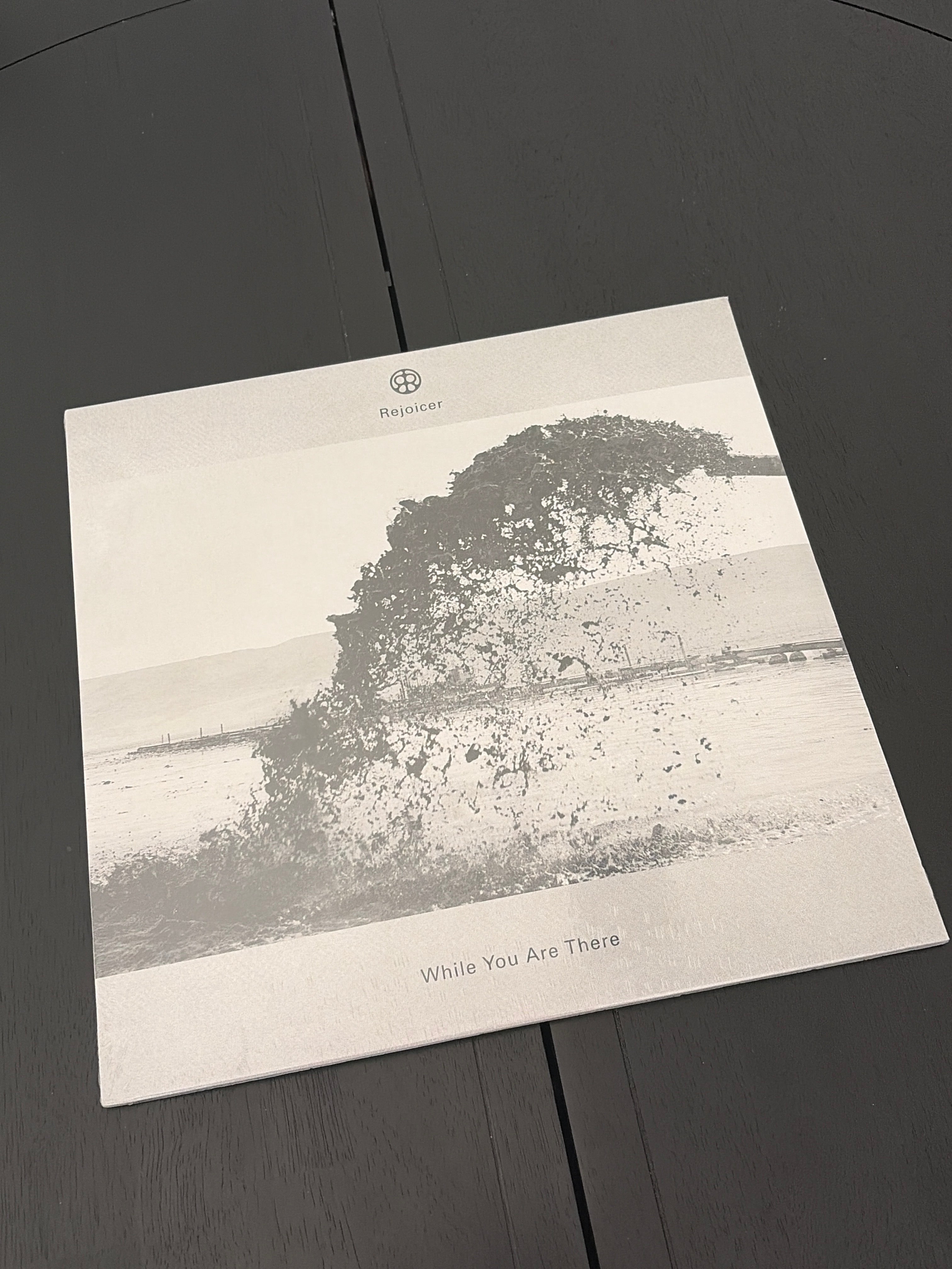 Rejoicer - While You Are There
