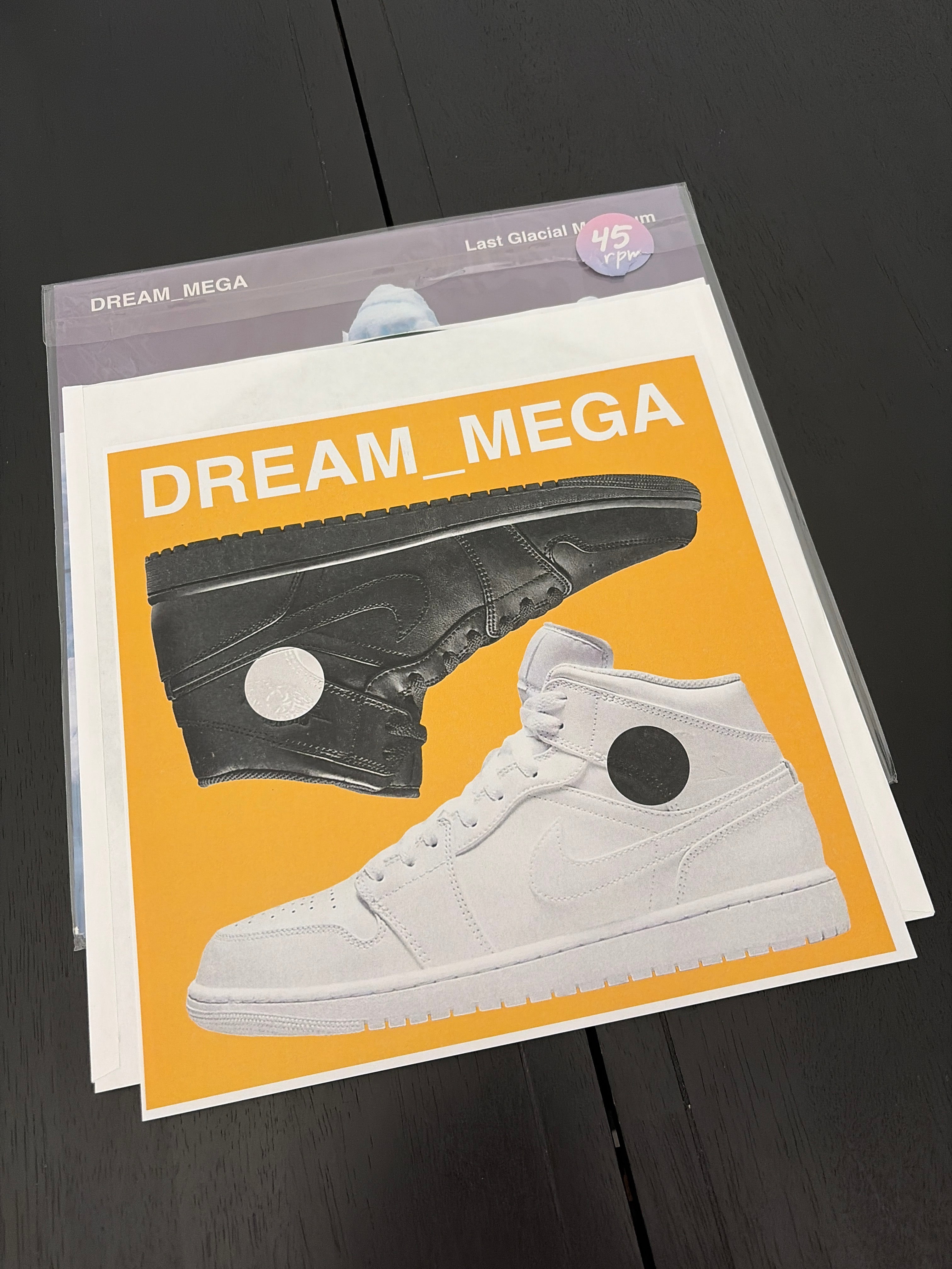 DREAM_MEGA - Last Glacial Maximum